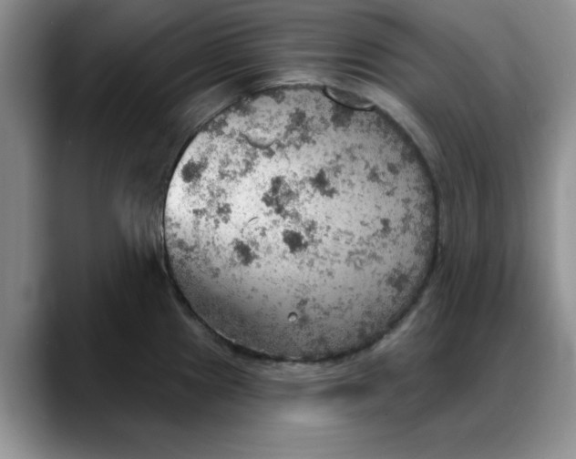 X0000088161241200705291905