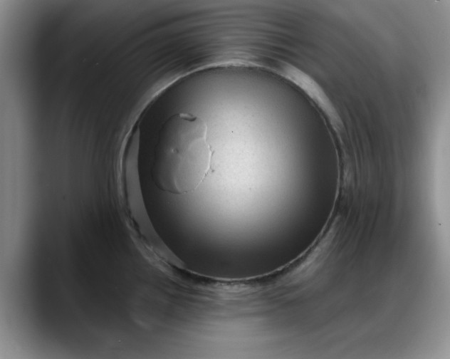 X0000088161242200705291905