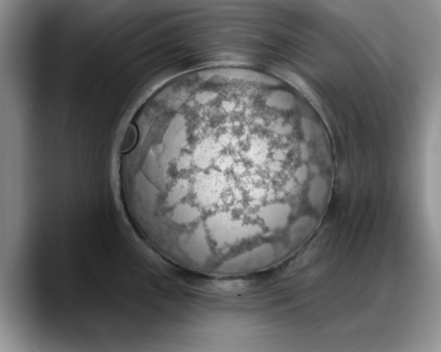 X0000088161243200705291905
