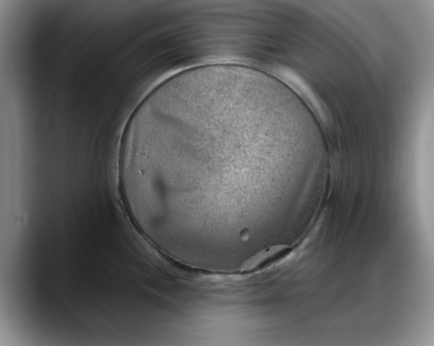 X0000088161244200705291905