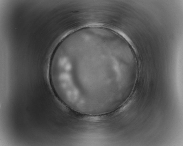 X0000088161245200705291905