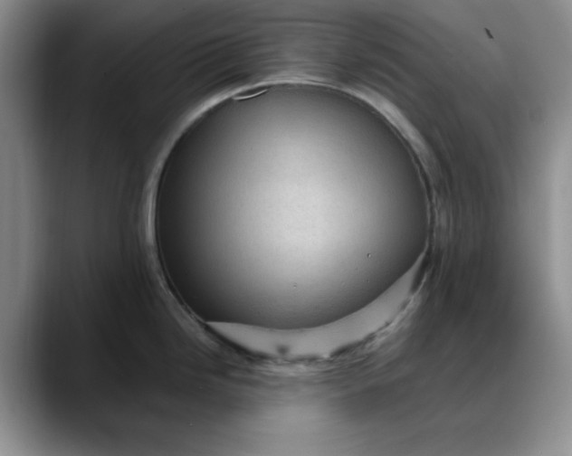 X0000088161246200705291905