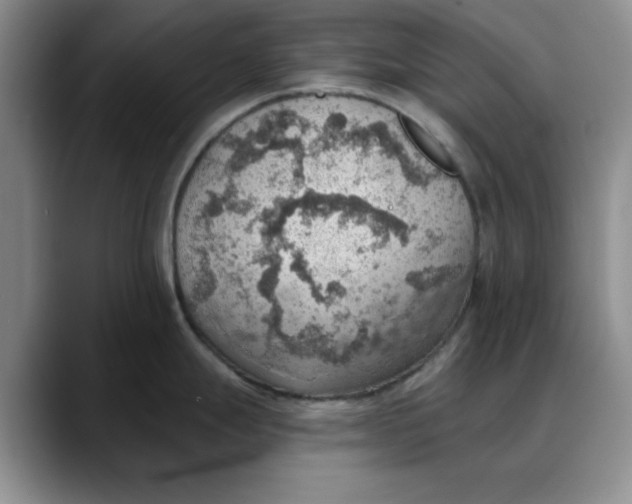 X0000088161247200705291905