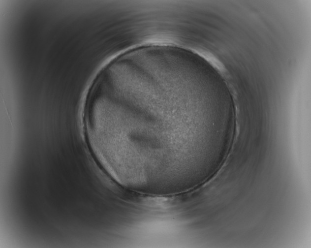 X0000088161248200705291905
