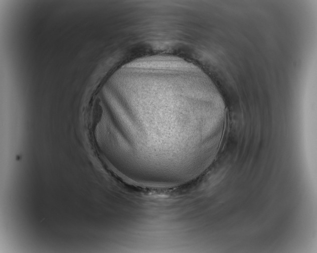 X0000088161249200705291904