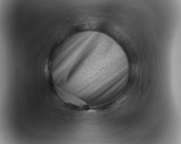 X0000088161250200705291904