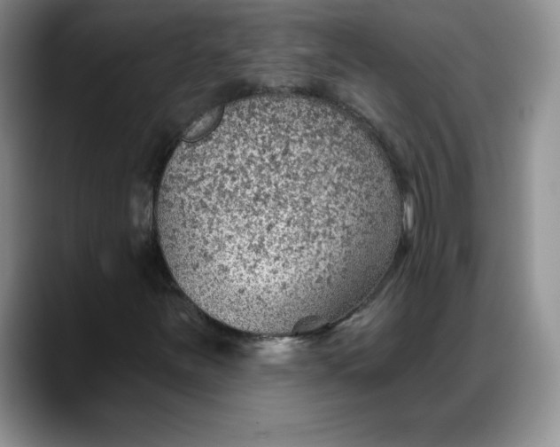 X0000088161251200705291904
