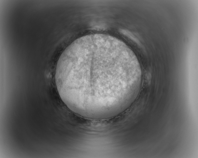 X0000088161254200705291904