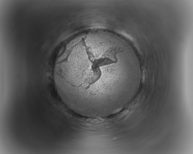 X0000088161255200705291904