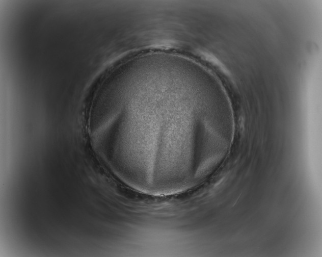 X0000088161256200705291904