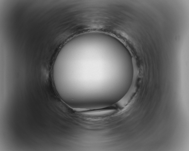 X0000088161257200705291904