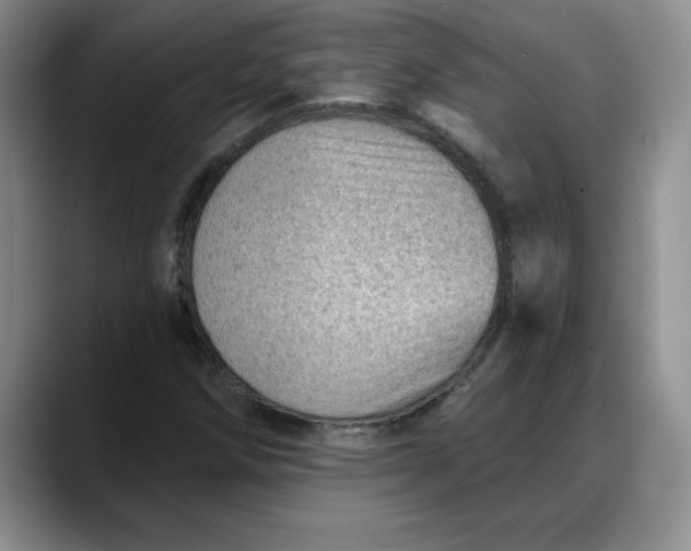 X0000088161258200705291904