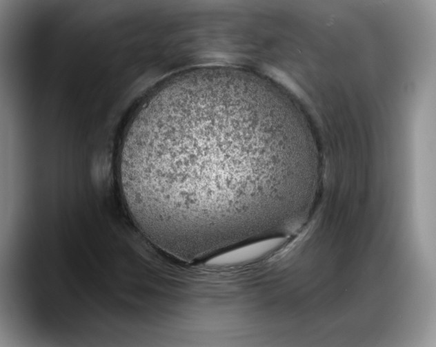 X0000088161259200705291904