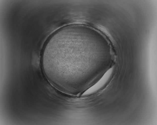 X0000088161260200705291904