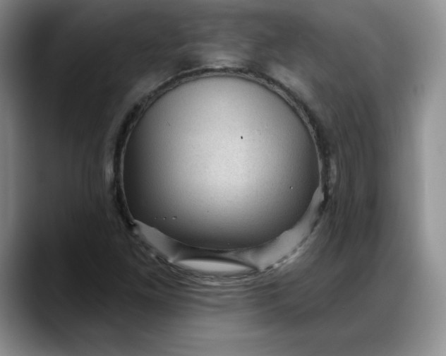 X0000088161261200705291904