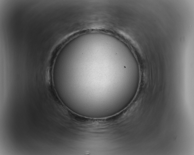 X0000088161262200705291904