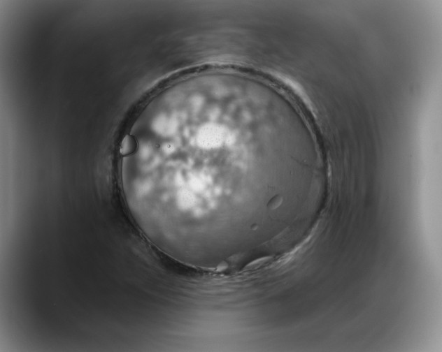 X0000088161263200705291904