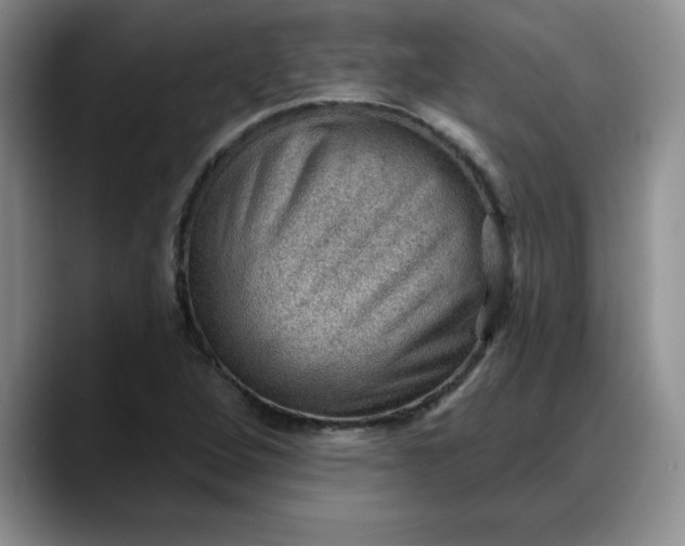 X0000088161264200705291904