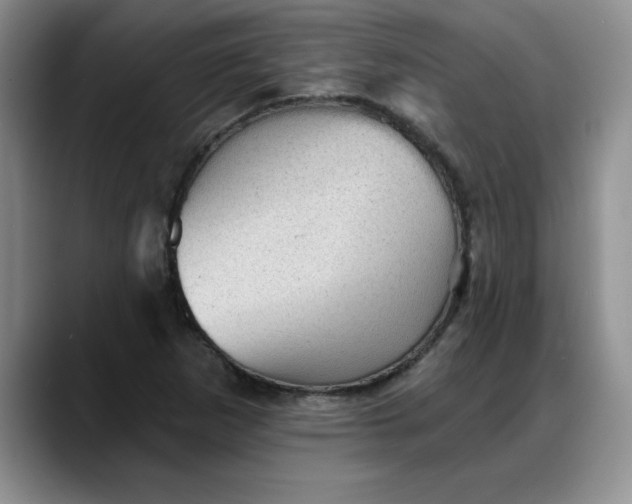 X0000088161265200705291904