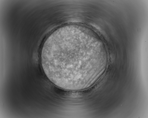 X0000088161266200705291904