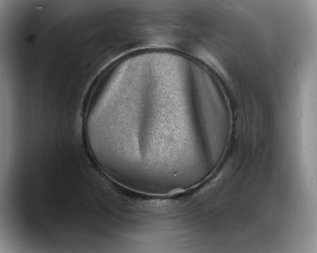 X0000088161268200705291904
