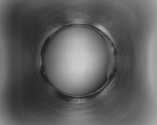 X0000088161269200705291904