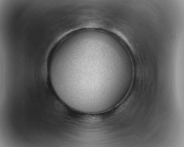 X0000088161270200705291904