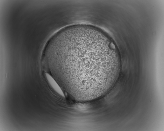 X0000088161271200705291904