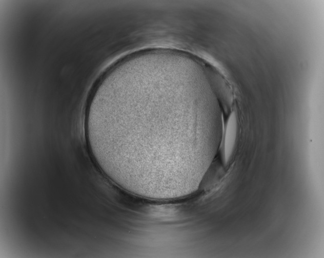 X0000088161272200705291904
