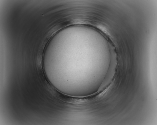 X0000088161273200705291904