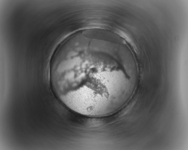 X0000088161275200705291904
