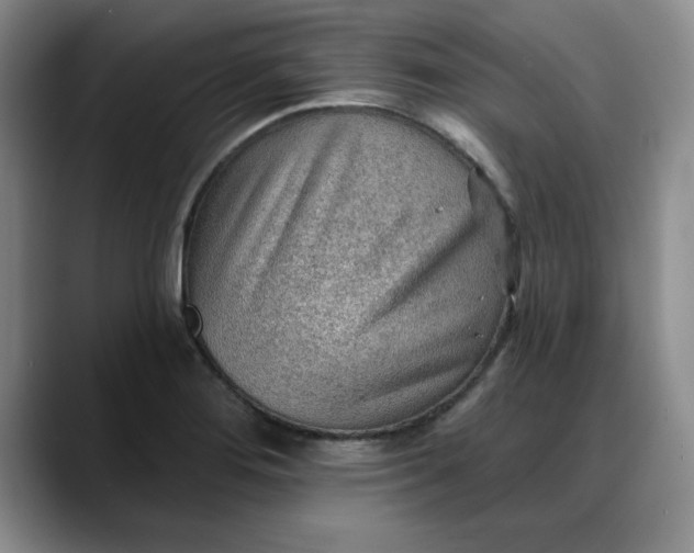 X0000088161276200705291904