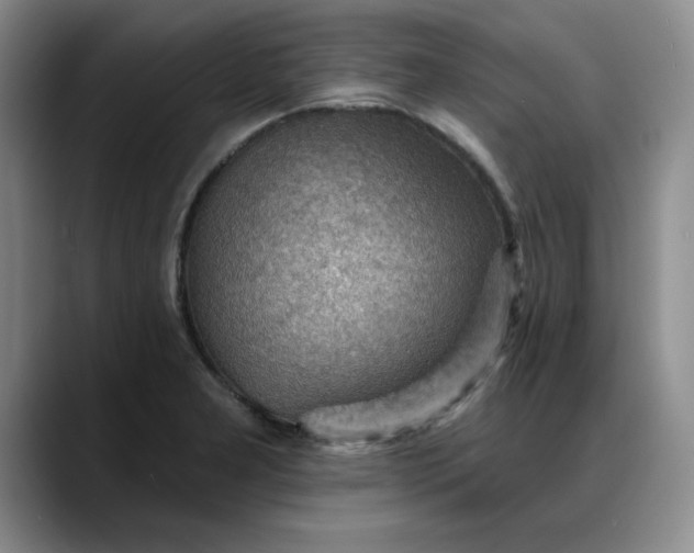 X0000088161277200705291904