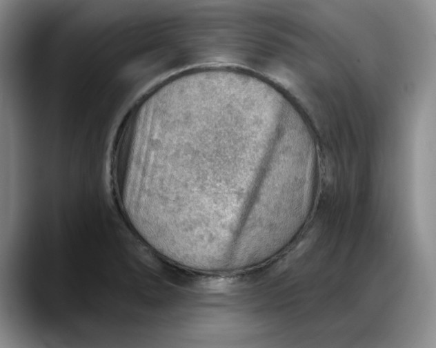 X0000088161278200705291904