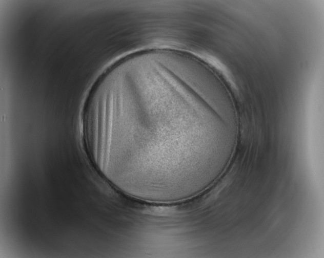 X0000088161280200705291904