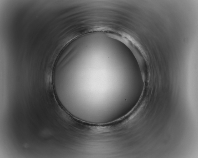 X0000088161281200705291904