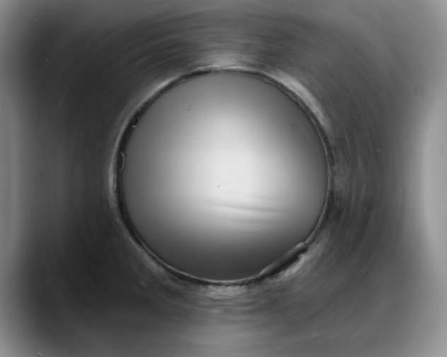 X0000088161285200705291904