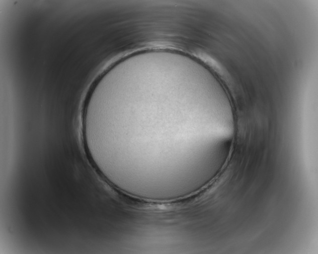X0000088161286200705291904