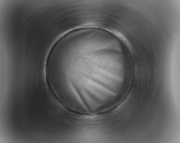 X0000088161288200705291904
