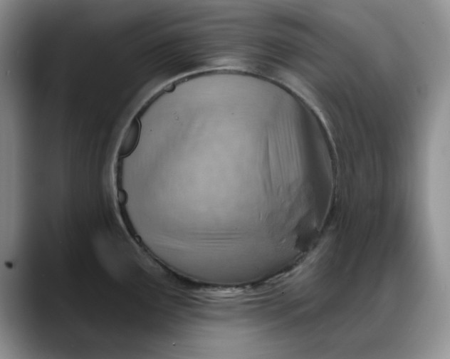 X0000088161291200705291903