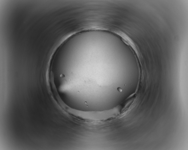 X0000088161293200705291903