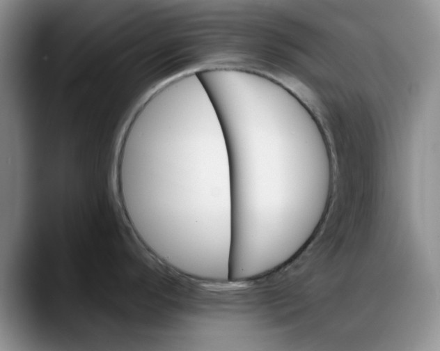 X0000088161296200705291903