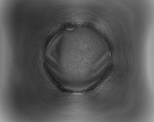X0000088161297200705291903