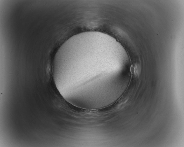 X0000088161299200705291903