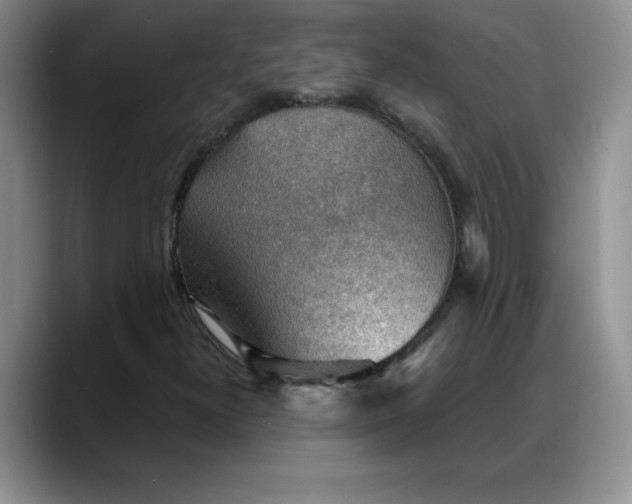 X0000088161300200705291903