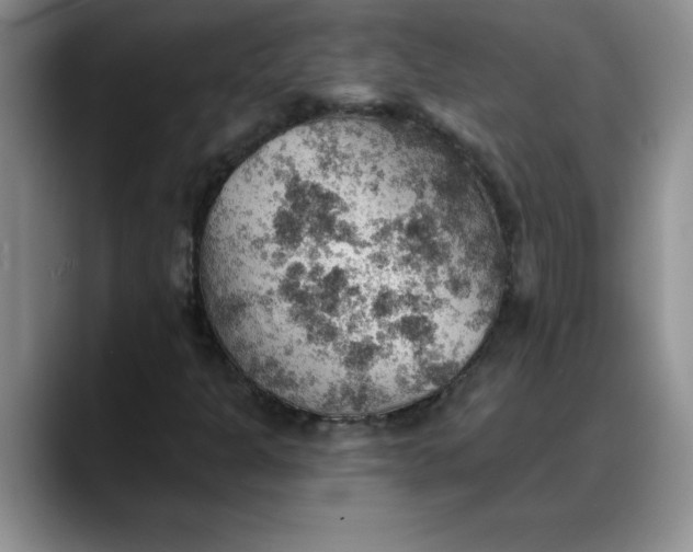 X0000088161301200705291903