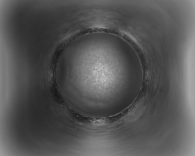 X0000088161303200705291903