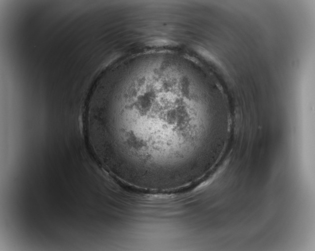 X0000088161305200705291903