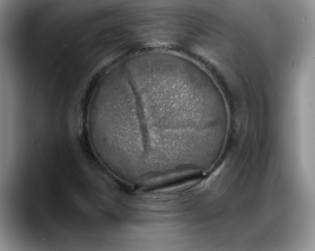 X0000088161306200705291903