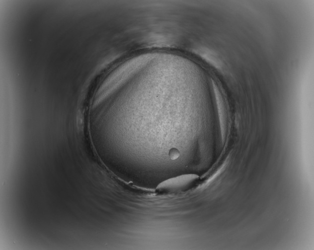 X0000088161309200705291903
